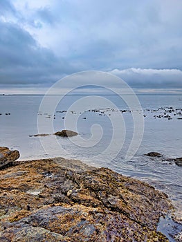 Rocky shoreline of Friday Harbor in San Juan Island, WA, on an overcast day