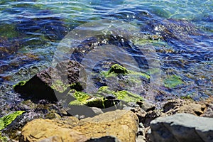 Rocky shoreline with green moss growing in water on the rocks. Scenic calm and clear water, reflection of sky