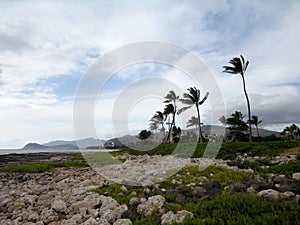Rocky shoreline at Ko Olina