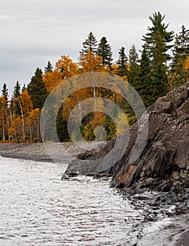 Rocky Shoreline of Lake Superior with Birch Trees in Autumn