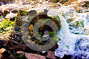 Rocky Shoreline With Moss and Foam Detail