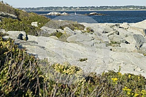 Rocky shoreline at Sachuest Point