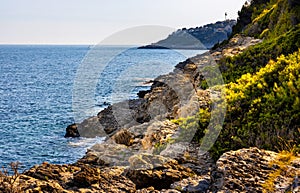 Rocky shoreline of Saint-Jean-Cap-Ferrat town on Cap Ferrat cape at Azure Coast French Riviera of Mediterranean Sea in France