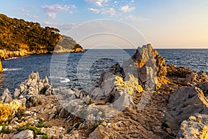 Rocky shoreline sunset landscape of Cap Ferrat cape hosting Saint-Jean-Cap-Ferrat resort town near Nice in France