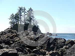 A rocky shoreline on the West coast of Canada