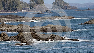 Rocky Shoreline on the West Coast of Pacific Ocean. Canadian Nature Background