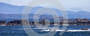 Rocky Shoreline on the West Coast of Pacific Ocean. Canadian Nature Background