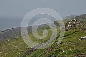 Rocky shores of the Barents Sea.