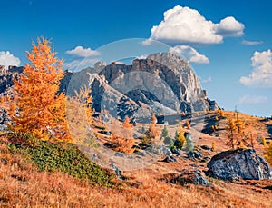 Rocky slope of Ra Gusela peak. Colorful in Dolomite Alps.