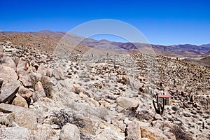 Rocky slopes and giant cacti among the ruins at Santa Rosa de Tastil near Salta in Argentina