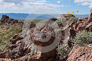 Rocky spine reaches out from Boundary Cone in Western Arizona