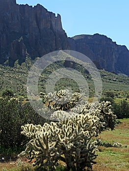 The rocky and stark hills of the Superstition Mountains. Legend has it a gold mine lies hidden in the area.