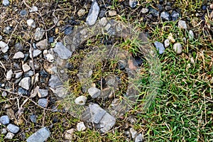 Rocky stones and grass on ground