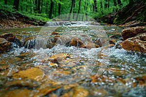 Rocky Stream Flowing Through Green Woods