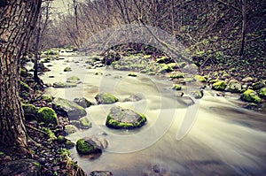 Rocky stream