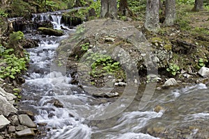 Rocky Stream Running Water, river in the forest