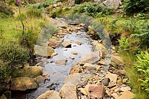 Rocky stream in the west Pennines. photo