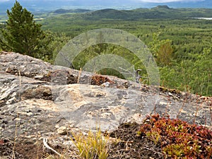 Rocky taiga terrain near Whitehorse Yukon Canada