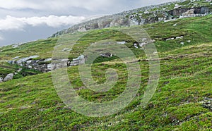 Rocky terrain and vegetation on the island of Mageroya, Norway