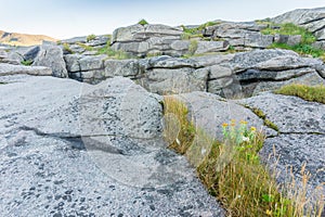 Rocky terrain and vegetation on the island Mageroya, Norway