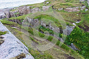 Rocky terrain and vegetation on the island Mageroya, Norway