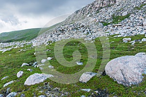 Rocky terrain and vegetation on the island Mageroya, Norway