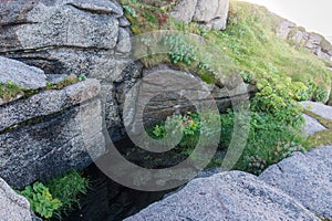 Rocky terrain and vegetation on the Mageroya island, Norway