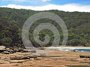 Rocky tidal shore