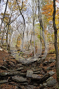 Rocky trail through deciduous forest in fall