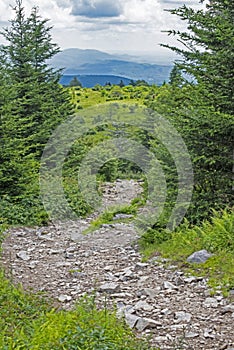 Rocky trail leads off the mountain in Grayson Highlands State Park.