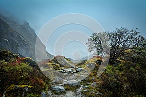 Rocky Trail, Sikkim, India