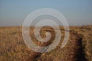 Rocky trailway to wide field