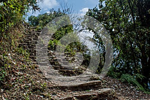 Rocky trekking pathway in the forest at Mardi Himal trek