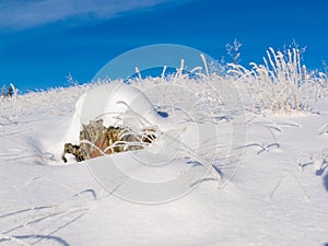 Rocky tundra hill snow covered winter wonderland