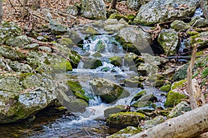Rocky View of Wild Mountain Trout Stream