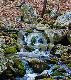 Rocky View of Wild Mountain Trout Stream