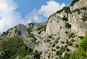 Rocky wall and green at Sentiero degli Dei