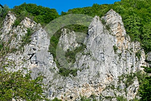 The rocky wall of the mountain covered with vegetation. Mountain and green trees