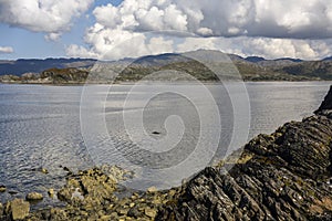 Rocky wild coastline near Glenfinnan in the north-western scottish Highlands, Scotland, Great Britain