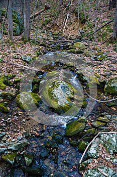 Rocky Wild Mountain Trout Stream