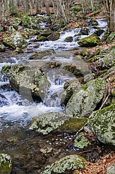 Rocky Wild Trout Stream in the Blue Ridge Mountains