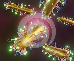 Rod shape gold nanoparticle conjugates peptides as biosensor photo