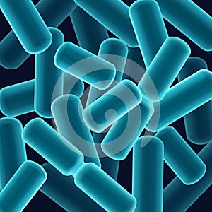 Rod-shaped bacilli bacteria
