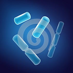 Rod-shaped bacilli bacteria