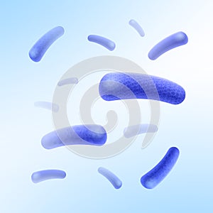 Rod-shaped bacilli bacteria