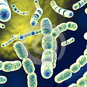 Rod-shaped bacteria, bacilli and cocci in the intestines. Microbiome. Microorganisms or microbes, non-nuclear