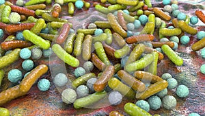 Rod-shaped bacteria and cocci, human microbiome, human pathogenic bacteria, 3D illustration