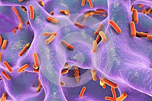 Rod-shaped bacteria inside bone tissue