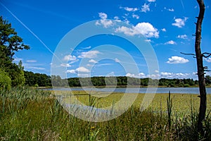 The `Rodder Maar` on a sunny day