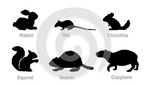 Rodent animals set vector silhouette illustration isolated on white background.